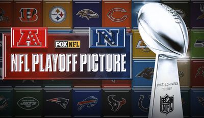 2025 NFL Playoff Bracket, Schedule, Standings