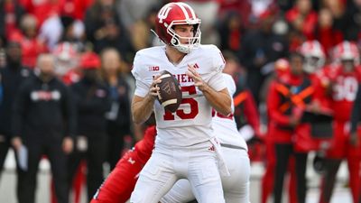 Poll: Mendoza top vote-getter as NFL draft's QB1