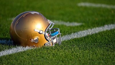 Irish land WR Fitzgerald, son of ex-NFL star Larry