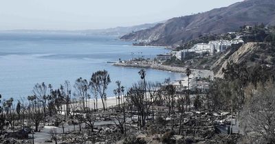 Eagles Fans Raise Money for LA Wildfire Relief Before 2025 NFL Playoff Game vs. Rams